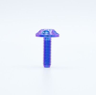 Blue Purple Gradient Tc4 Motorcycle Titanium Alloy Screws ANSI ASME Standard
