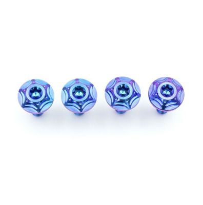 Blue Purple Gradient Tc4 Motorcycle Titanium Alloy Screws ANSI ASME Standard